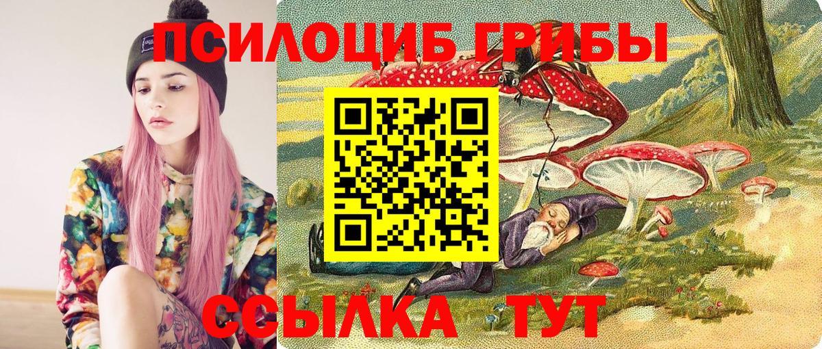А ПВП Клинцы